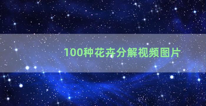 100种花卉分解视频图片