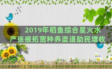 2019年稻鱼综合星火水产张掖拓宽种养渠道助民增收