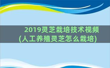 2019灵芝栽培技术视频(人工养殖灵芝怎么栽培)