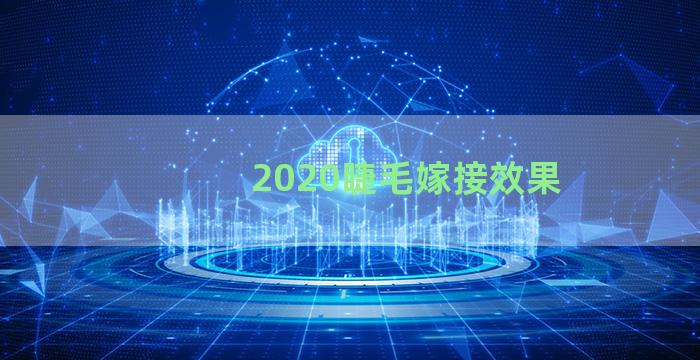 2020睫毛嫁接效果