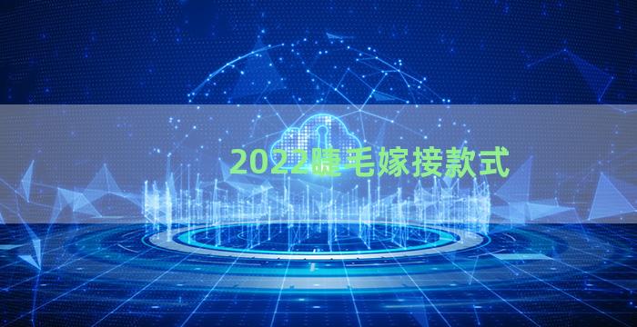 2022睫毛嫁接款式