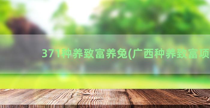 371种养致富养兔(广西种养致富项目)