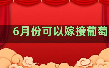 6月份可以嫁接葡萄树吗