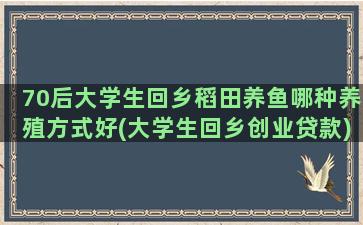 70后大学生回乡稻田养鱼哪种养殖方式好(大学生回乡创业贷款)