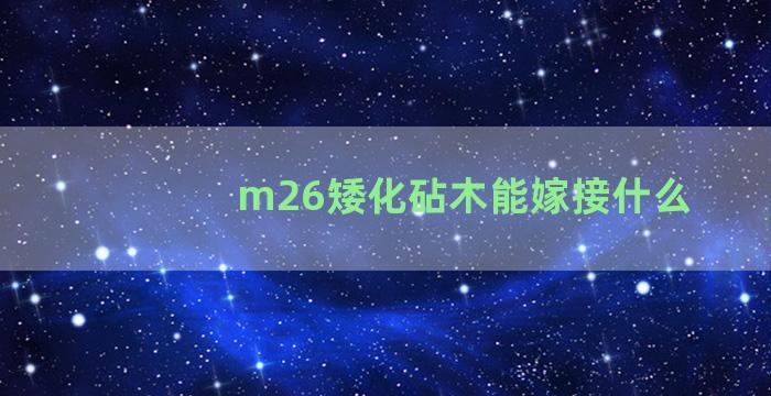 m26矮化砧木能嫁接什么