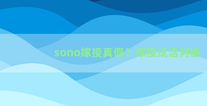 sono嫁接真假？嫁接成活判断