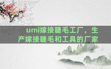 umi嫁接睫毛工厂，生产嫁接睫毛和工具的厂家