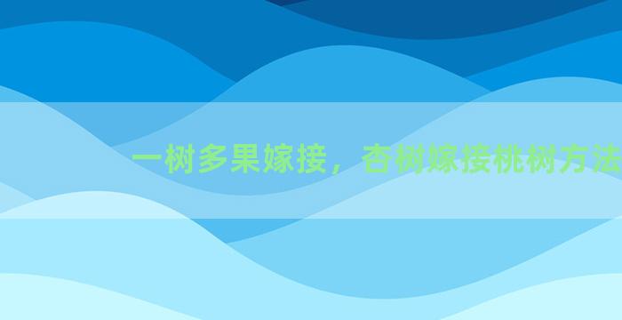 一树多果嫁接，杏树嫁接桃树方法