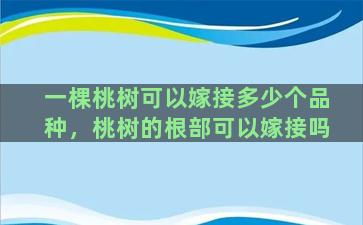 一棵桃树可以嫁接多少个品种，桃树的根部可以嫁接吗