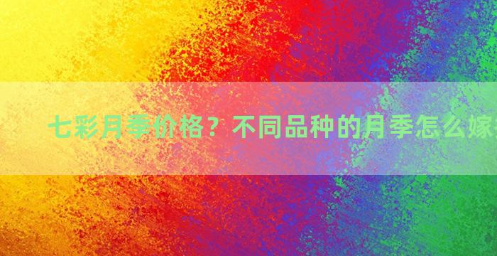 七彩月季价格？不同品种的月季怎么嫁接到一起