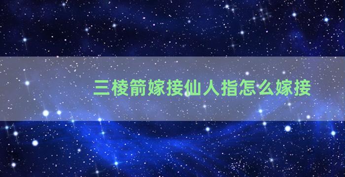 三棱箭嫁接仙人指怎么嫁接