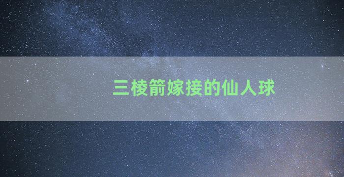 三棱箭嫁接的仙人球