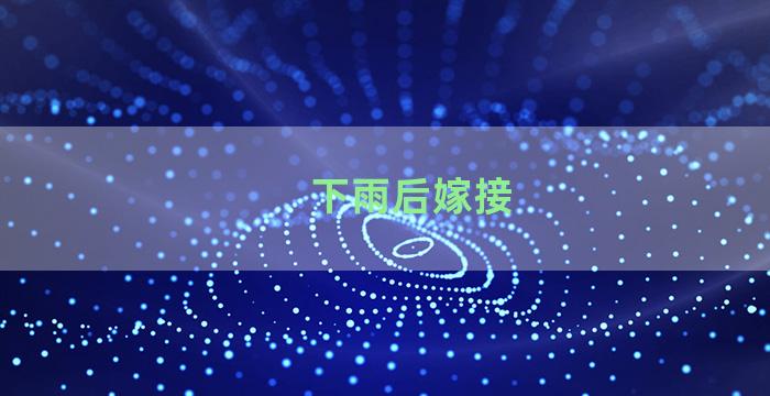 下雨后嫁接