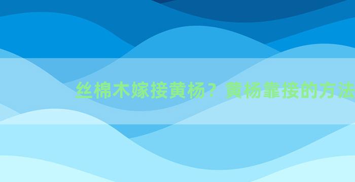 丝棉木嫁接黄杨？黄杨靠接的方法