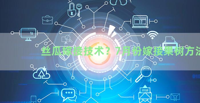 丝瓜嫁接技术？7月份嫁接果树方法