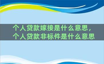 个人贷款嫁接是什么意思，个人贷款非标件是什么意思