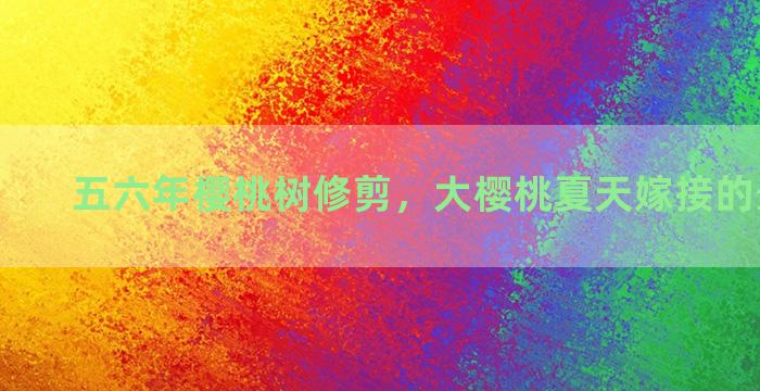 五六年樱桃树修剪，大樱桃夏天嫁接的最好方法