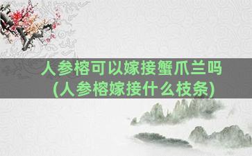 人参榕可以嫁接蟹爪兰吗(人参榕嫁接什么枝条)