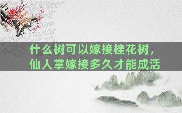 什么树可以嫁接桂花树，仙人掌嫁接多久才能成活