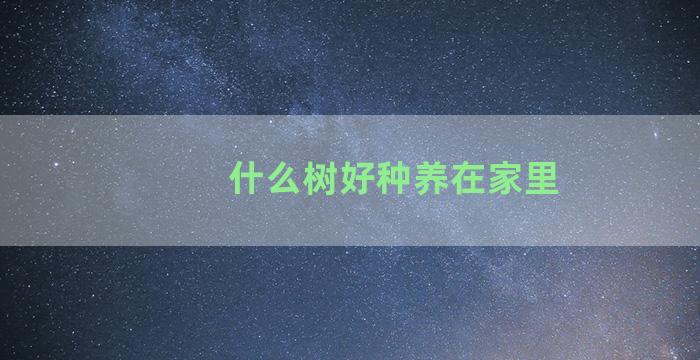 什么树好种养在家里