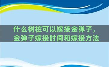 什么树桩可以嫁接金弹子，金弹子嫁接时间和嫁接方法