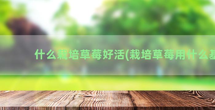 什么栽培草莓好活(栽培草莓用什么基质)