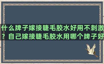 什么牌子嫁接睫毛胶水好用不刺激？自己嫁接睫毛胶水用哪个牌子好