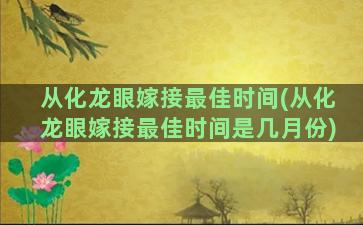 从化龙眼嫁接最佳时间(从化龙眼嫁接最佳时间是几月份)