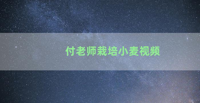 付老师栽培小麦视频