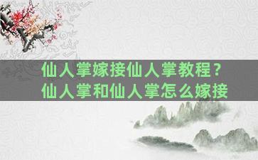 仙人掌嫁接仙人掌教程？仙人掌和仙人掌怎么嫁接