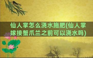 仙人掌怎么浇水施肥(仙人掌嫁接蟹爪兰之前可以浇水吗)