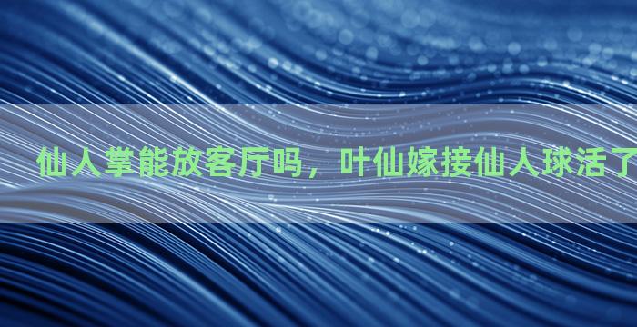 仙人掌能放客厅吗，叶仙嫁接仙人球活了可以地栽吗