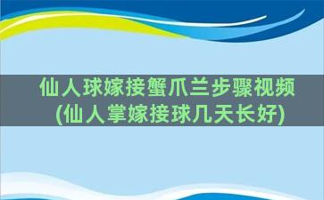 仙人球嫁接蟹爪兰步骤视频(仙人掌嫁接球几天长好)