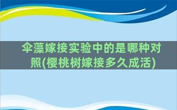 伞藻嫁接实验中的是哪种对照(樱桃树嫁接多久成活)