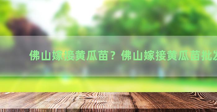 佛山嫁接黄瓜苗？佛山嫁接黄瓜苗批发市场