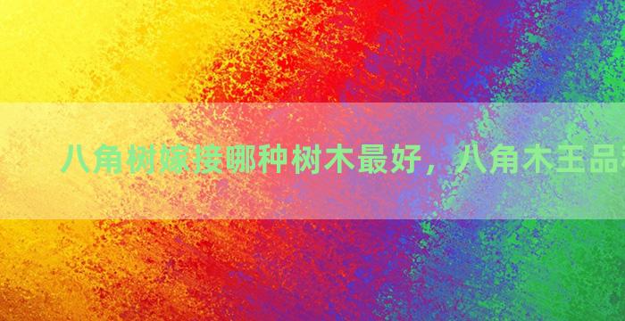 八角树嫁接哪种树木最好，八角木王品种怎么样