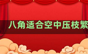 八角适合空中压枝繁植吗