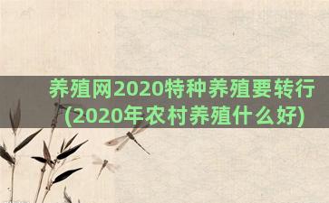 养殖网2020特种养殖要转行(2020年农村养殖什么好)