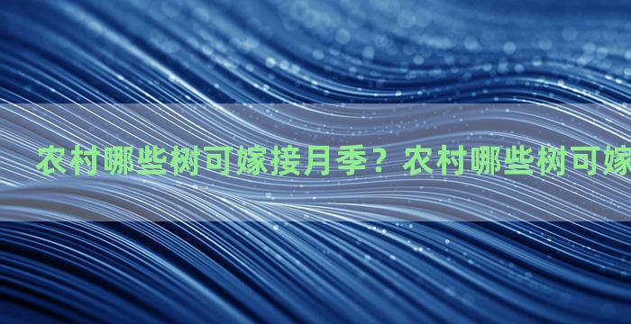 农村哪些树可嫁接月季？农村哪些树可嫁接月季花呢