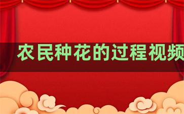 农民种花的过程视频播放