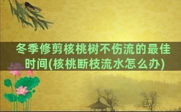 冬季修剪核桃树不伤流的最佳时间(核桃断枝流水怎么办)