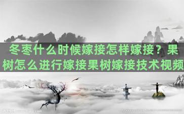 冬枣什么时候嫁接怎样嫁接？果树怎么进行嫁接果树嫁接技术视频