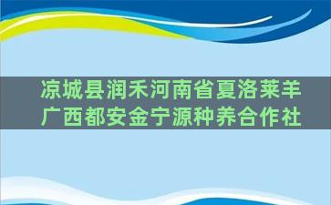 凉城县润禾河南省夏洛莱羊广西都安金宁源种养合作社