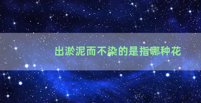 出淤泥而不染的是指哪种花