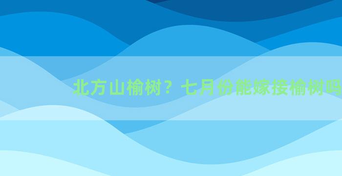 北方山榆树？七月份能嫁接榆树吗