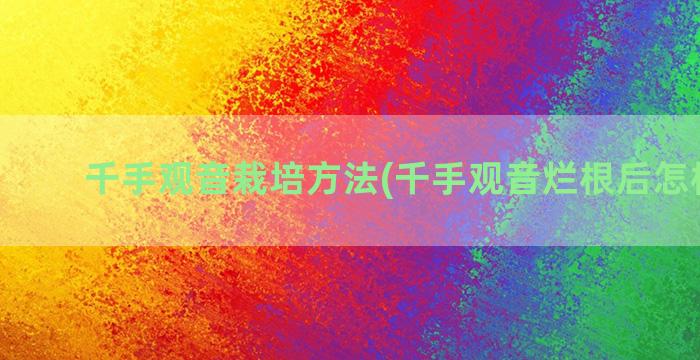 千手观音栽培方法(千手观音烂根后怎样栽培)