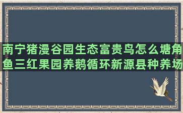 南宁猪漫谷园生态富贵鸟怎么塘角鱼三红果园养鹅循环新源县种养场