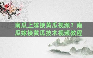 南瓜上嫁接黄瓜视频？南瓜嫁接黄瓜技术视频教程