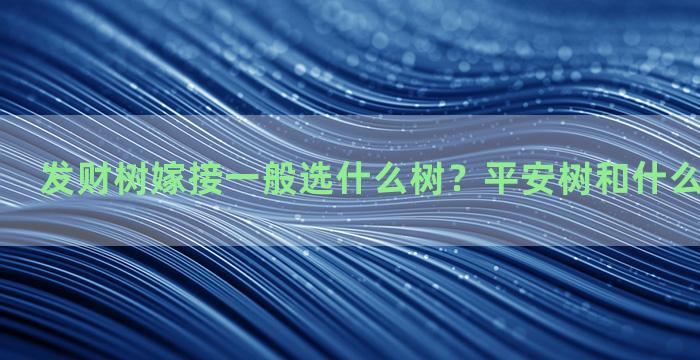 发财树嫁接一般选什么树？平安树和什么树嫁接最好