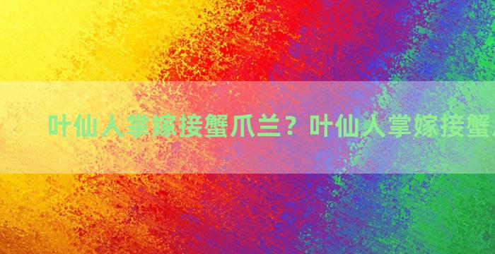 叶仙人掌嫁接蟹爪兰？叶仙人掌嫁接蟹爪兰视频